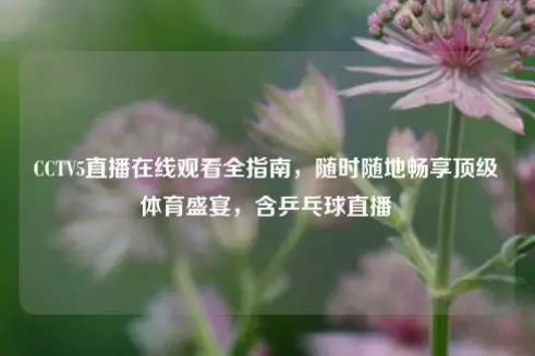 体育直播CCTV5直播在线观看：随时随地畅享赛事盛宴